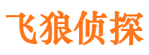 六安市侦探